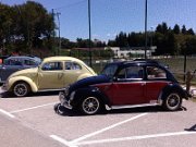 Beetle Show Rioz (10)